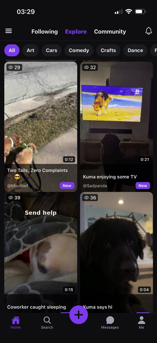 Weavid Explore feed — short video grid with categories